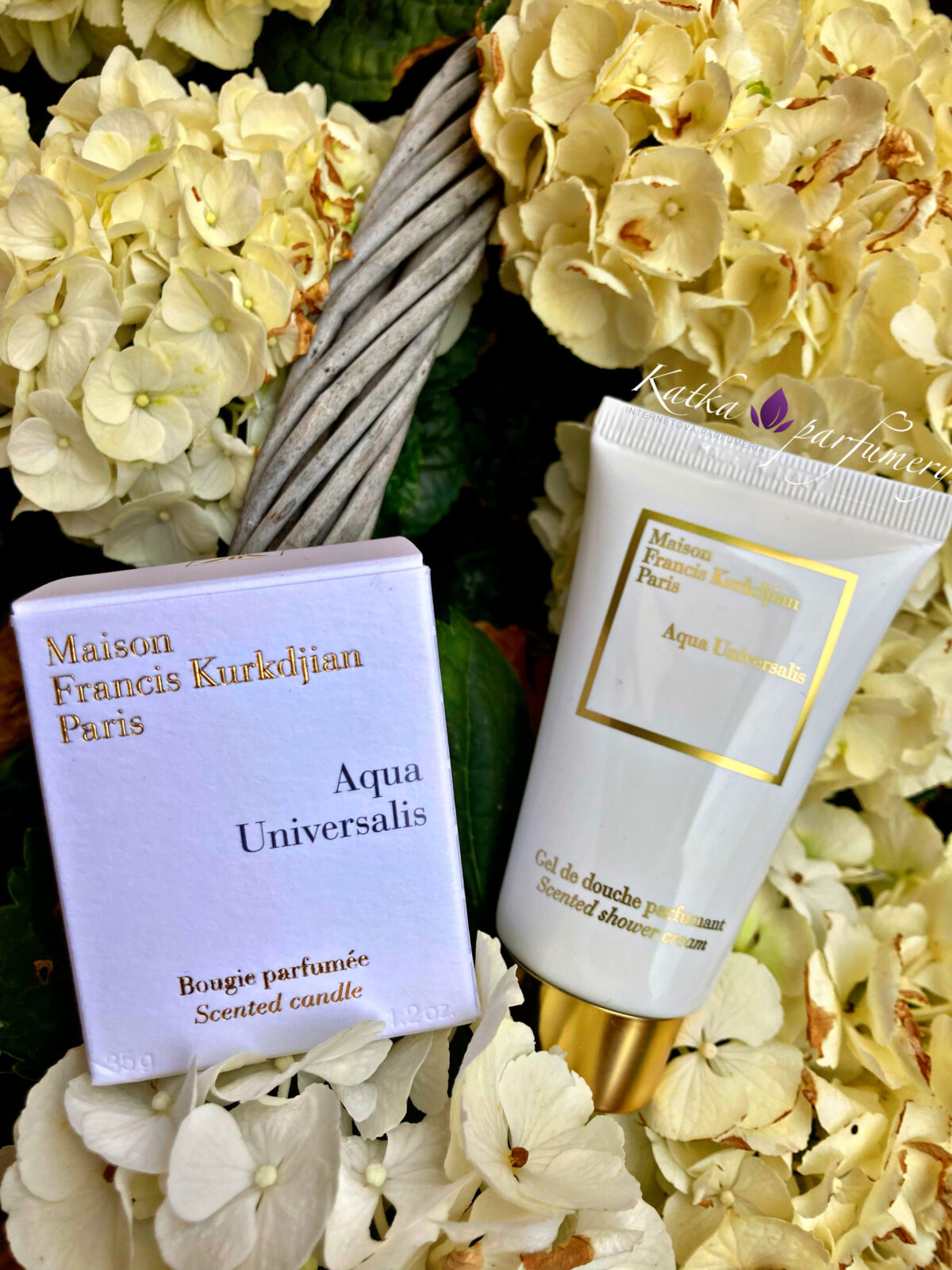 1D3DFC71-A1E3-4478-97E1-A07EC9F186C9