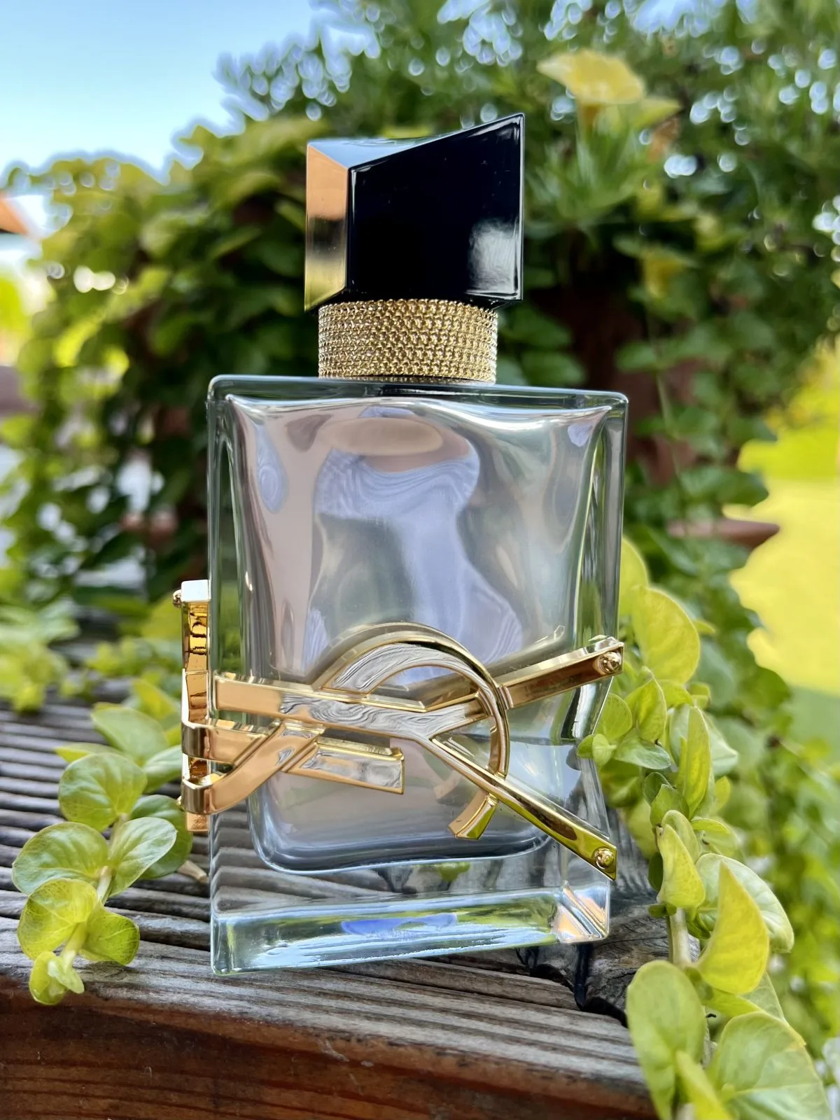 A38AB5E1-B6E5-46DF-B3E9-2F22881D33F5