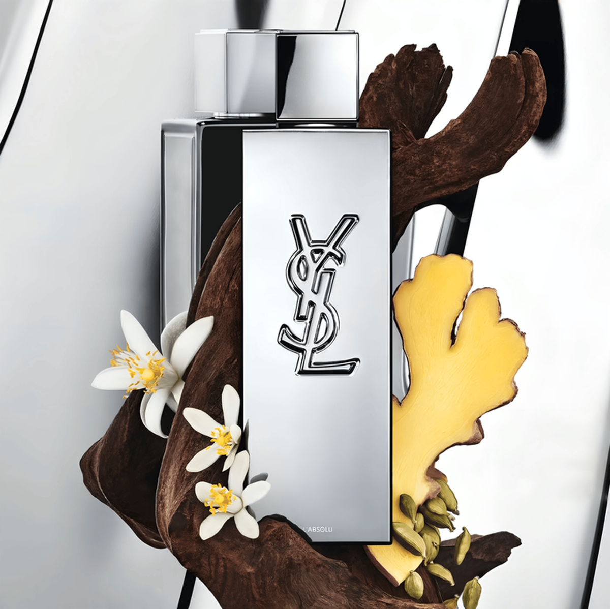 ysl